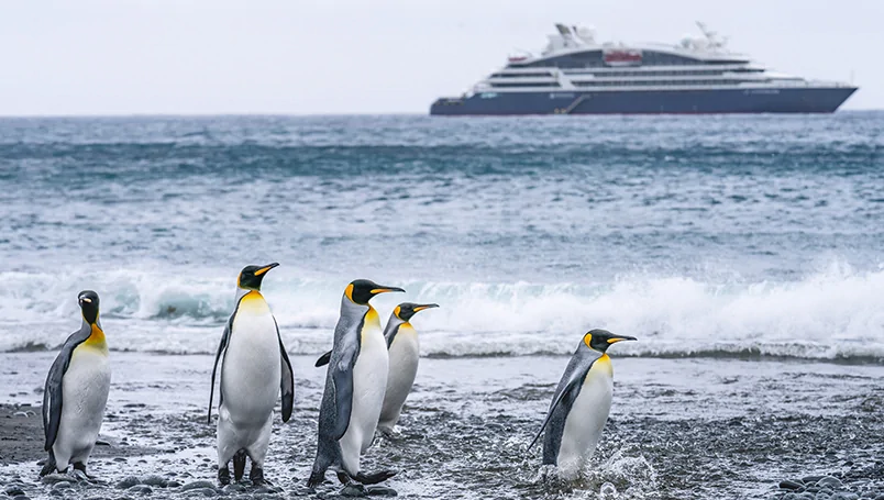 Ponant Subantarctic