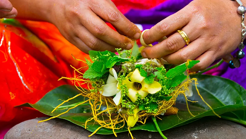 Discover The Marquesas Special inclusions (UC001-240323)