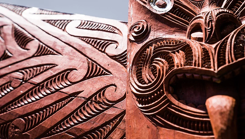 Natural Treasures of New Zealand