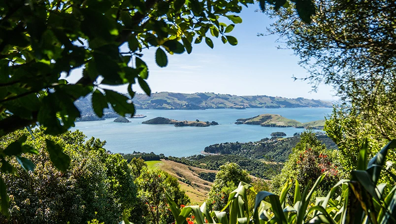 Natural Treasures of New Zealand