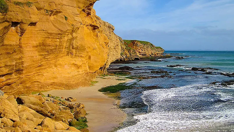 Ponant Chatham Islands