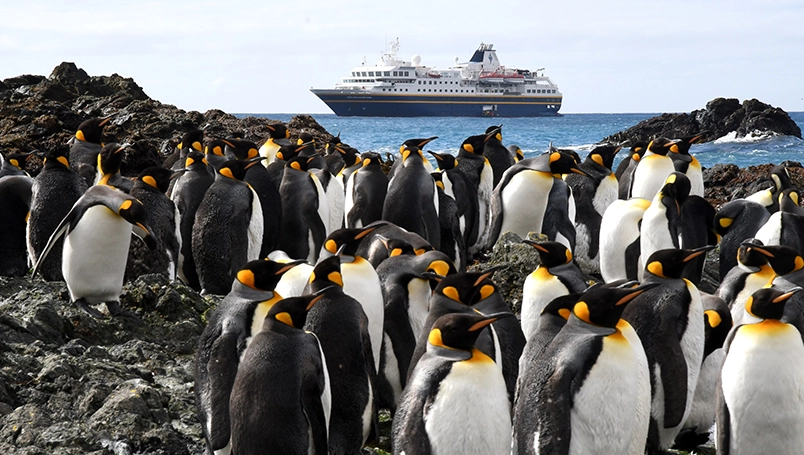 UC011 - Galapagos of the Southern Ocean