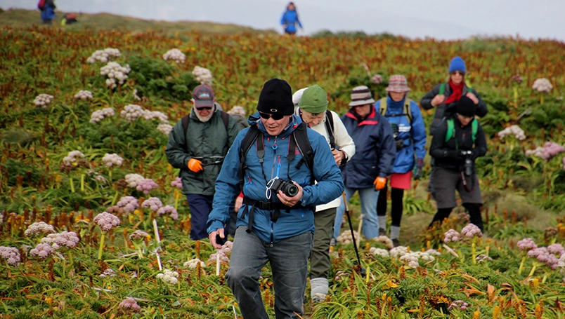 UC011 - Galapagos of the Southern Ocean