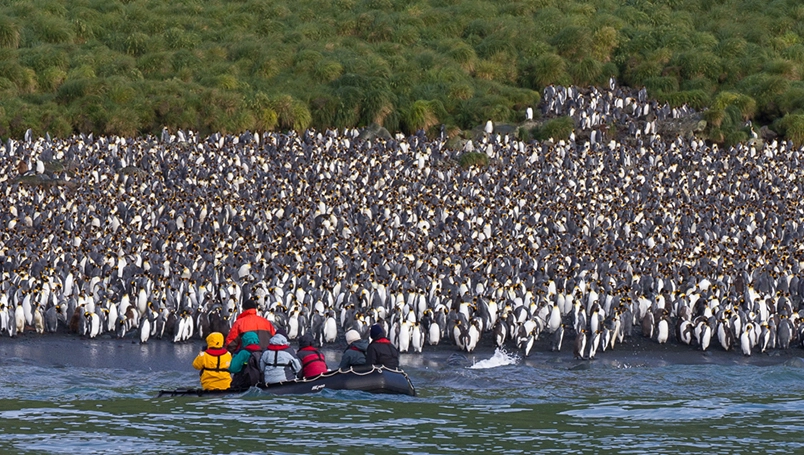UC011 - Galapagos of the Southern Ocean