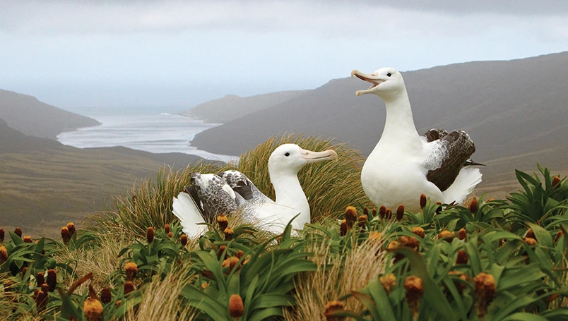 UC012 - Forgotten Islands of the South