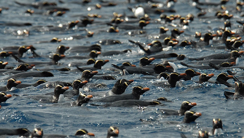 UC012 - Forgotten Islands of the South