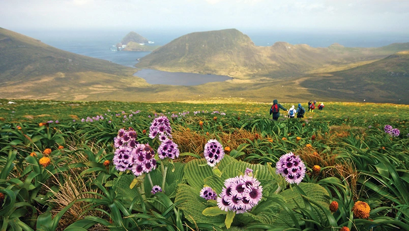 UC012 - Forgotten Islands of the South