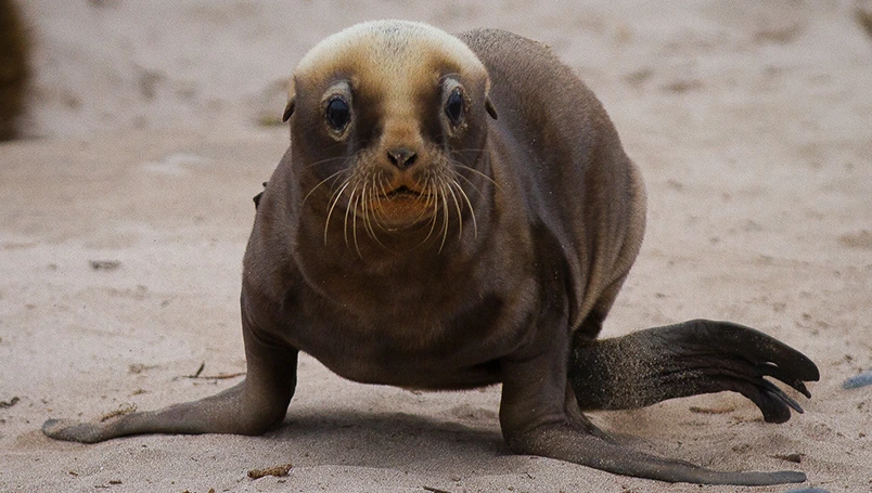 UC012 - Forgotten Islands of the South