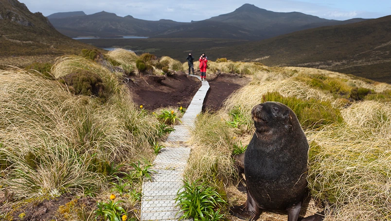 UC012 - Forgotten Islands of the South