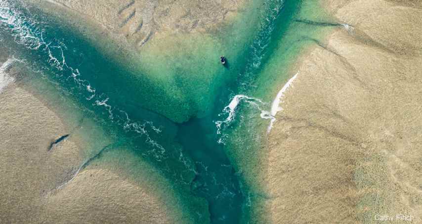 Montgomery Reef_Cathy Finch.jpg