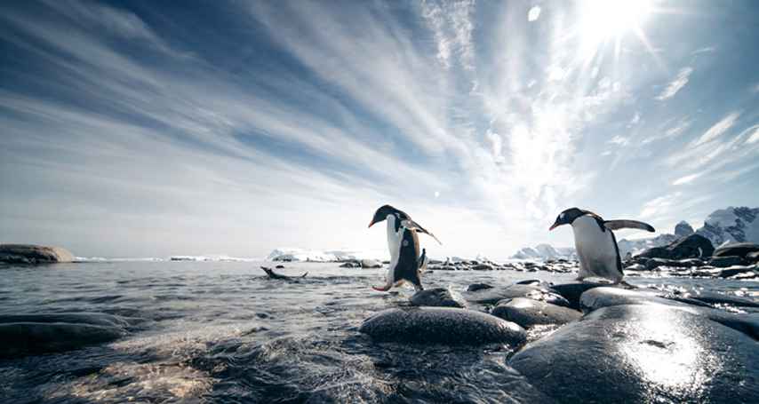 SSC_Antarctica_EV221203006_010 854x455.jpg