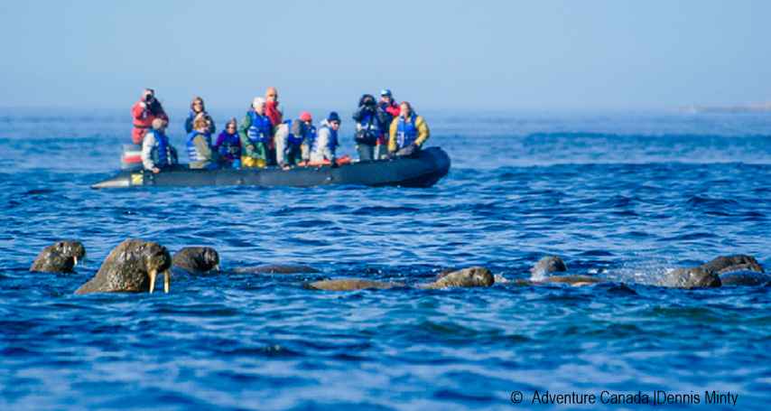 Into The Land of the Inuits - 2026