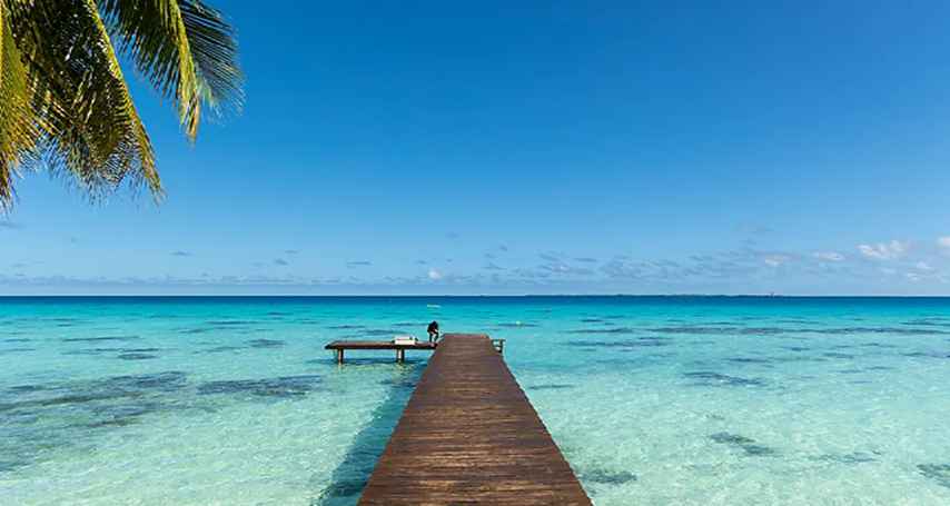 Polynesian Dreams: Cruise & Overwater Escape