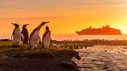 Sub-Antarctic Sunrises